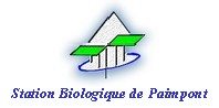 7-12 ans > Rencontre avec des vers de terre à la station biologique de Paimpont > 27 juin