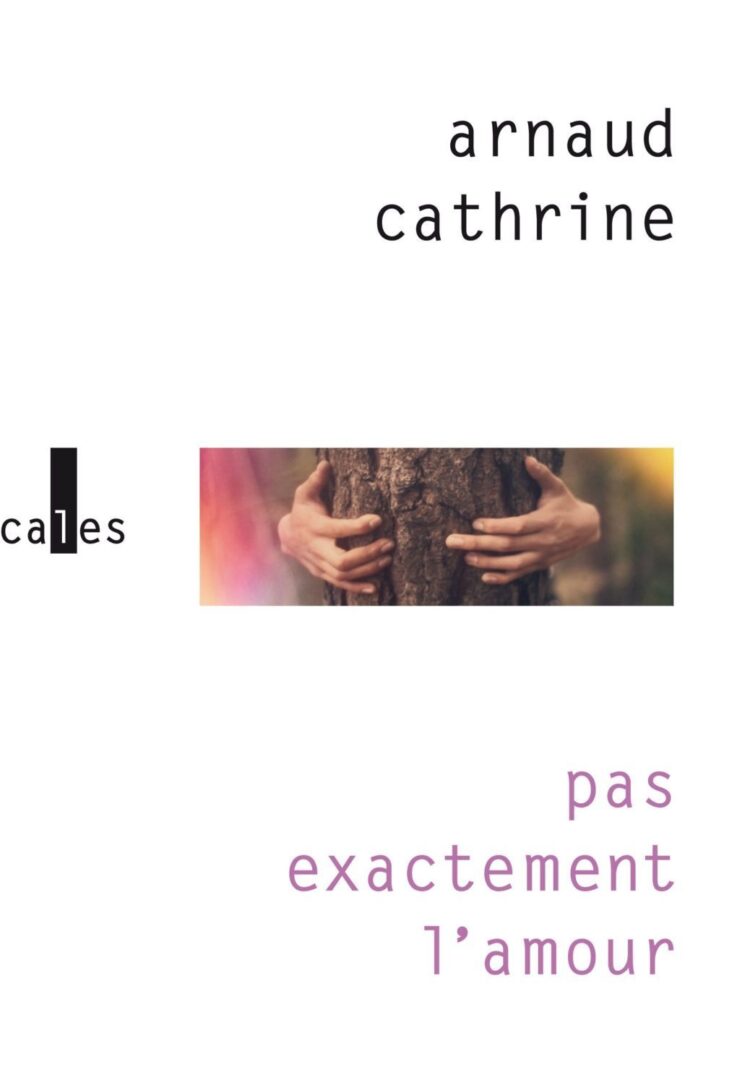Arnaud Cathrine et Florent Marchet aux Champs Libres, Amour sur scène et en musique