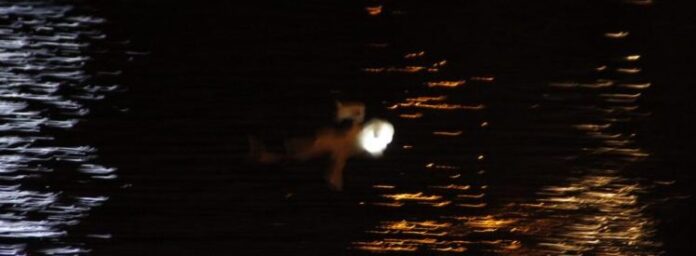 petit-fantome_saglio_tombeees-de-la-nuit_2016-e1469407252200