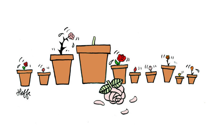 primaire-gauche-2017-e1480761970400