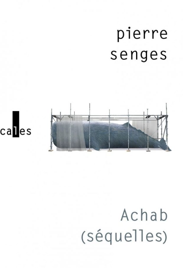 Pierre Senges, Achab (séquelles) ou Moby Dick