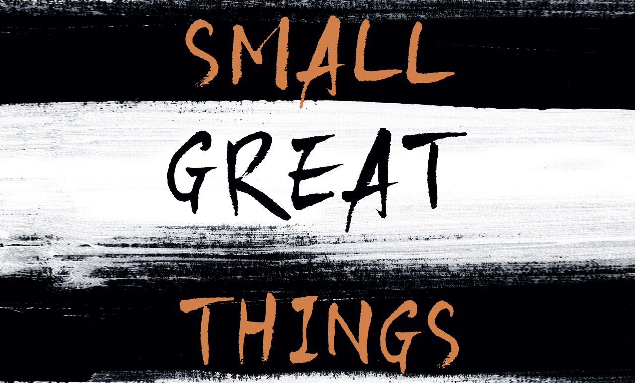 DANS SMALL GREAT THINGS JODI PICOULT LIVRE LA GRÂCE DES PETITES CHOSES