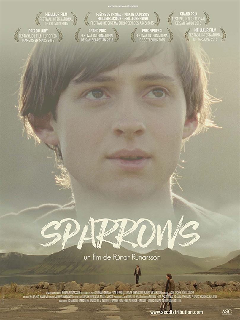 Sparrows, une rude adolescence islandaise