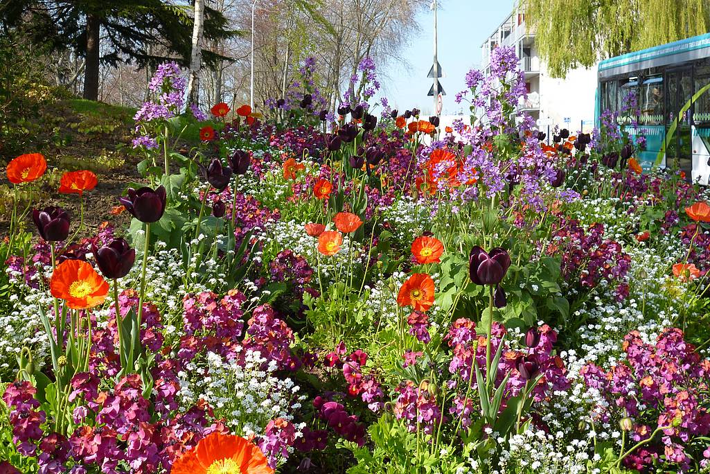 Villes et Villages Fleuris - Bretagne