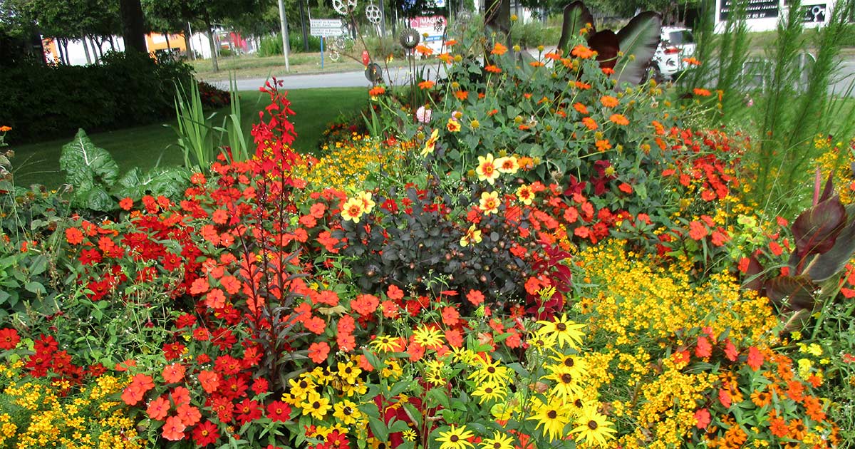Villes et Villages Fleuris - Bretagne