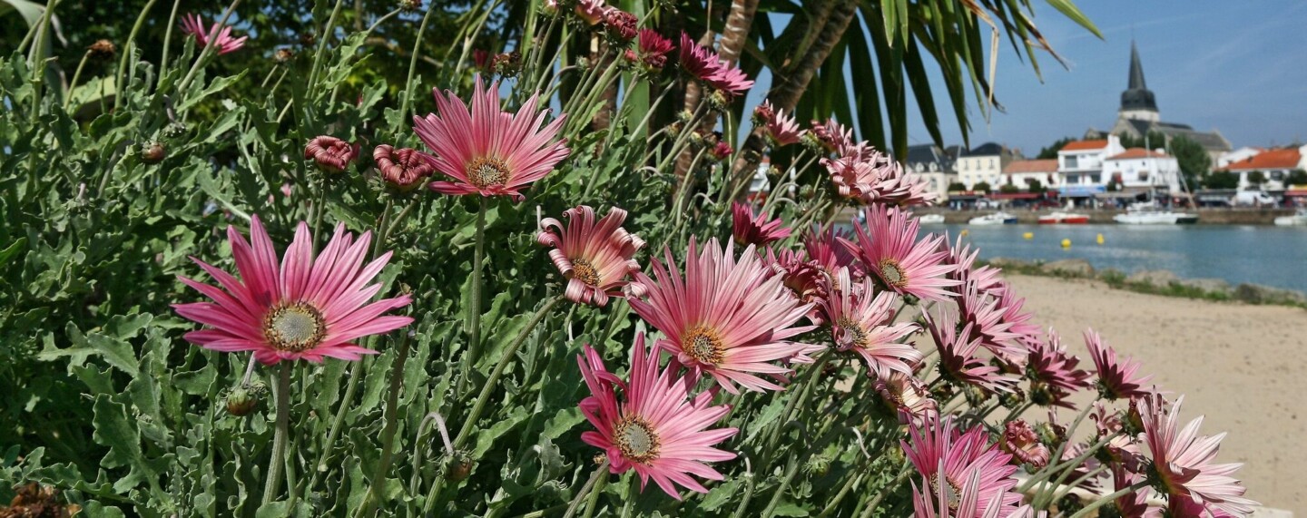 Villes et Villages Fleuris Bretagne