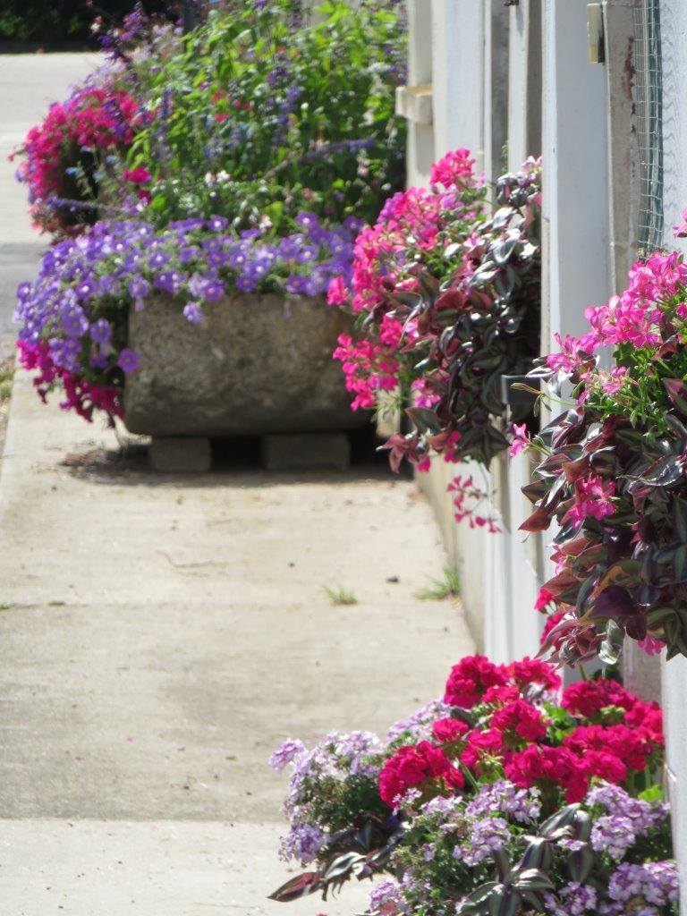 Villes et Villages Fleuris - Bretagne