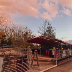 buvette port betton