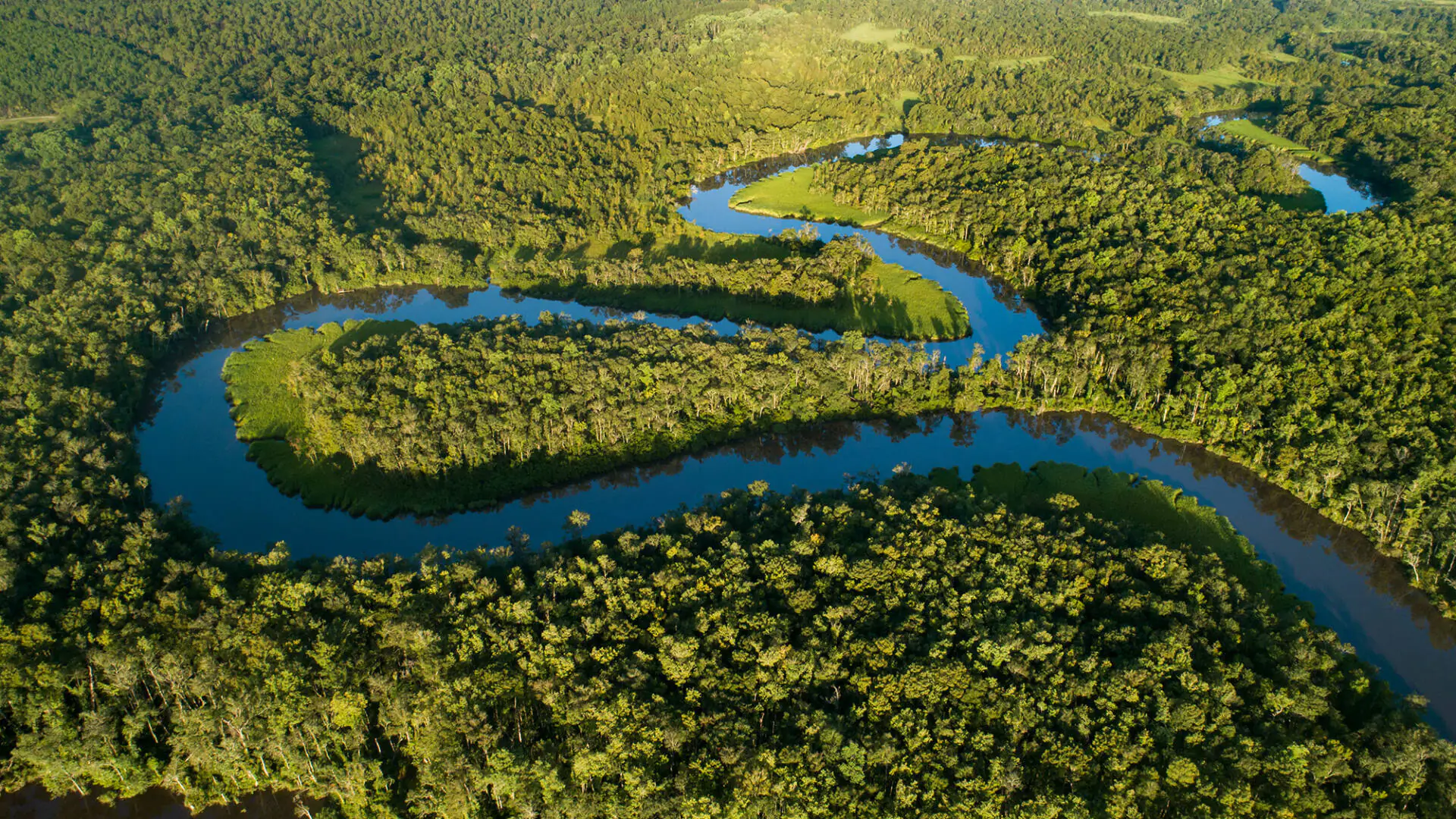 FLEUVE DES ROIS OU ROIS DU FLEUVE, TAYLOR BROWN NOUS CONTE L’ALTAMAHA