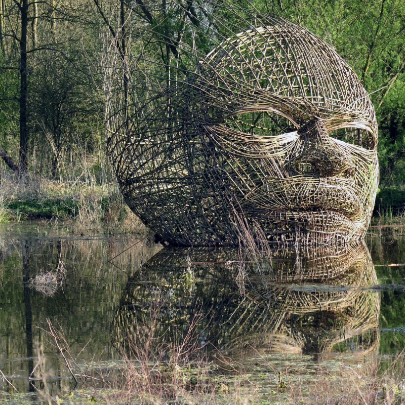 Baptême de terre - Fred Martin