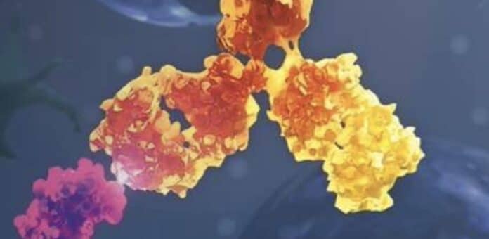 covid-vaccination-rennes