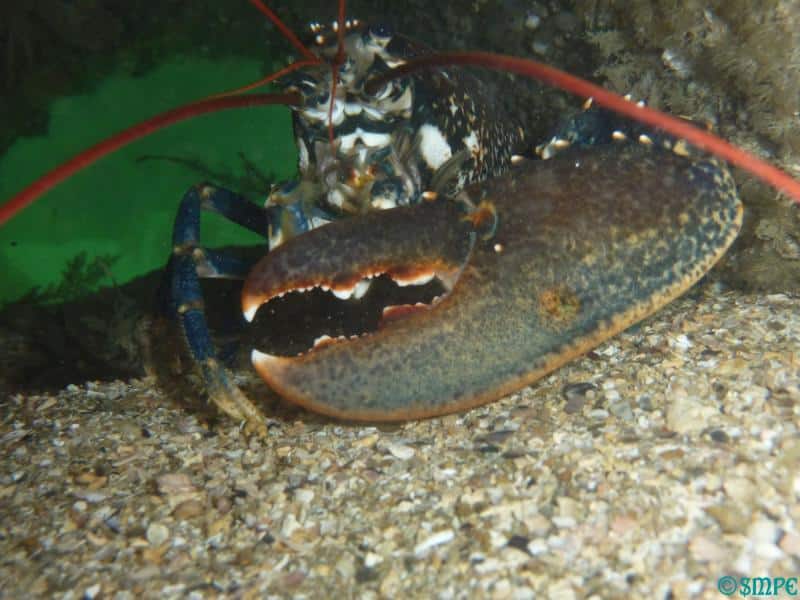 Ecole de l'Exploration 