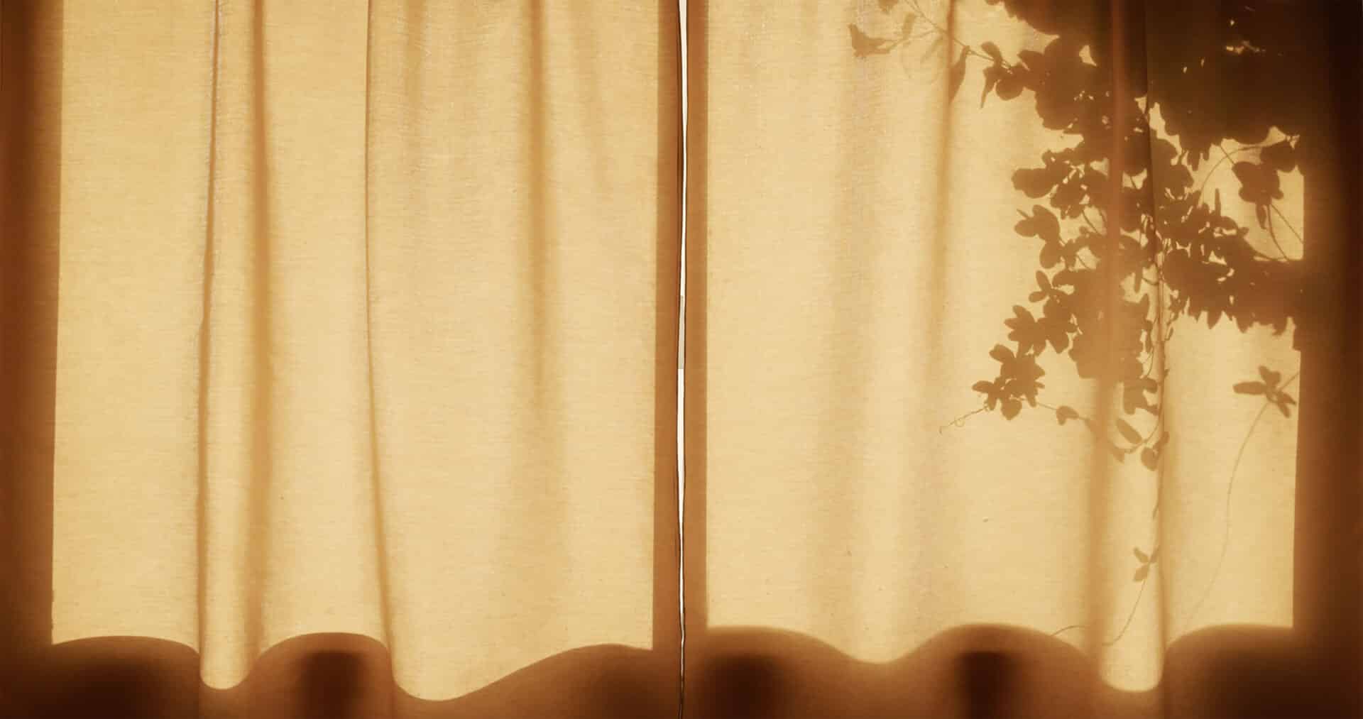 expos  Noblesse oblige - Bruissement - Bignan
