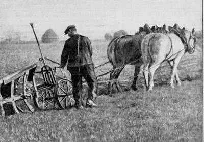 Fête du cheval de trait - Loudéac