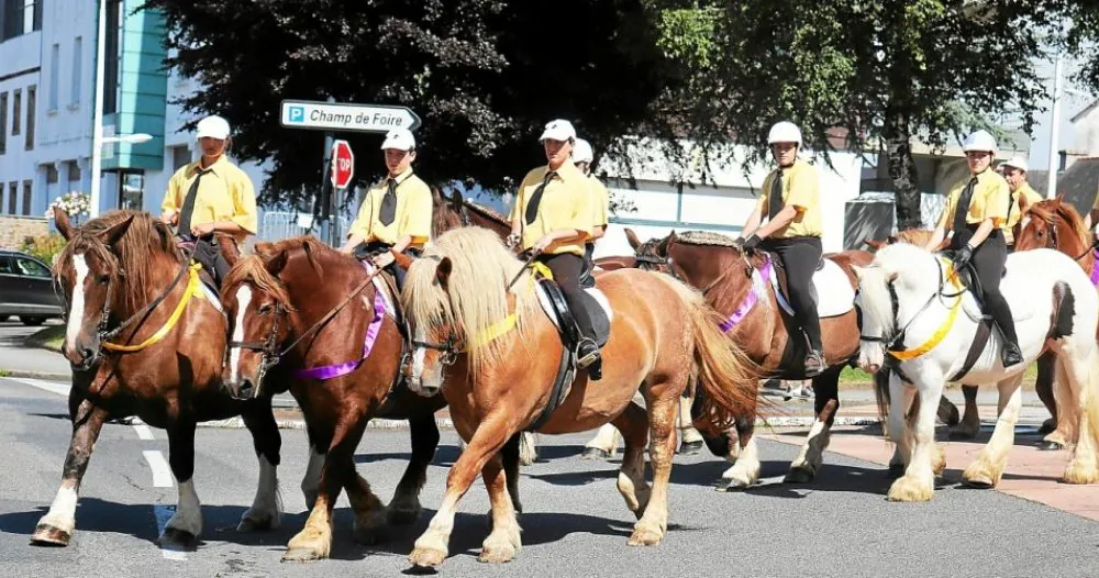 Fête du cheval de trait - Loudéac