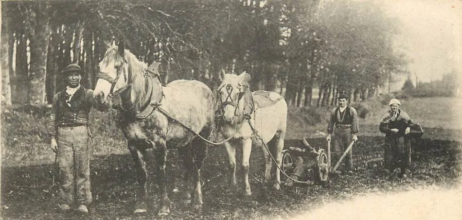 Fête du cheval de trait - Loudéac