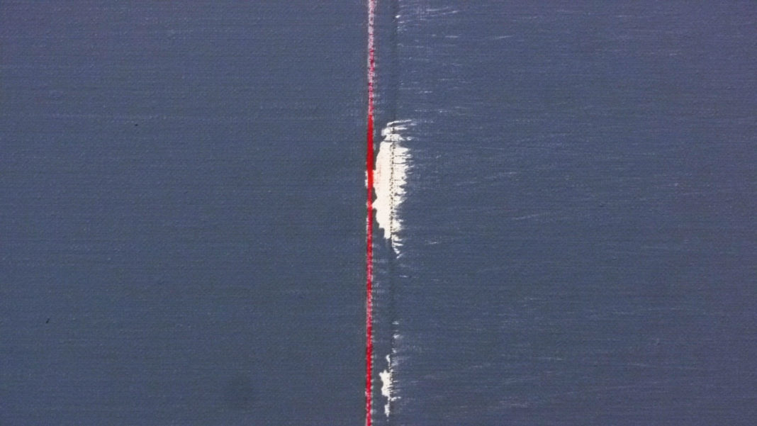 MORT DE GENEVIÈVE ASSE. DU BLEU DANS NOS COEURS