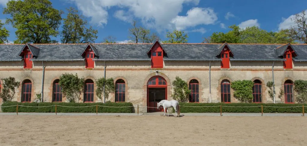 La cie Plume de Cheval - Haras Hennebont