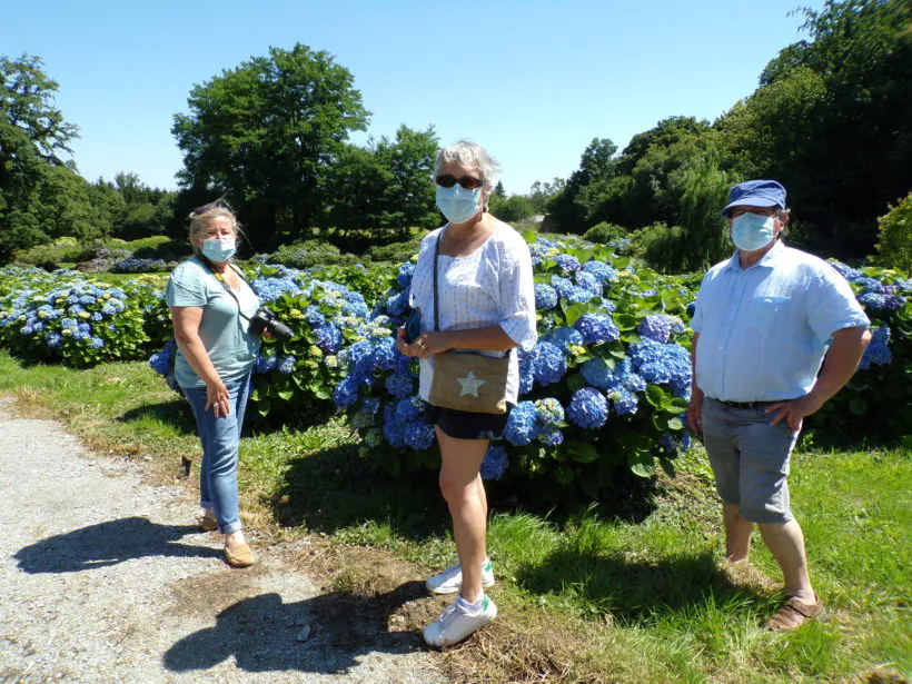 Hortensias du Haut-Bois - Taupont