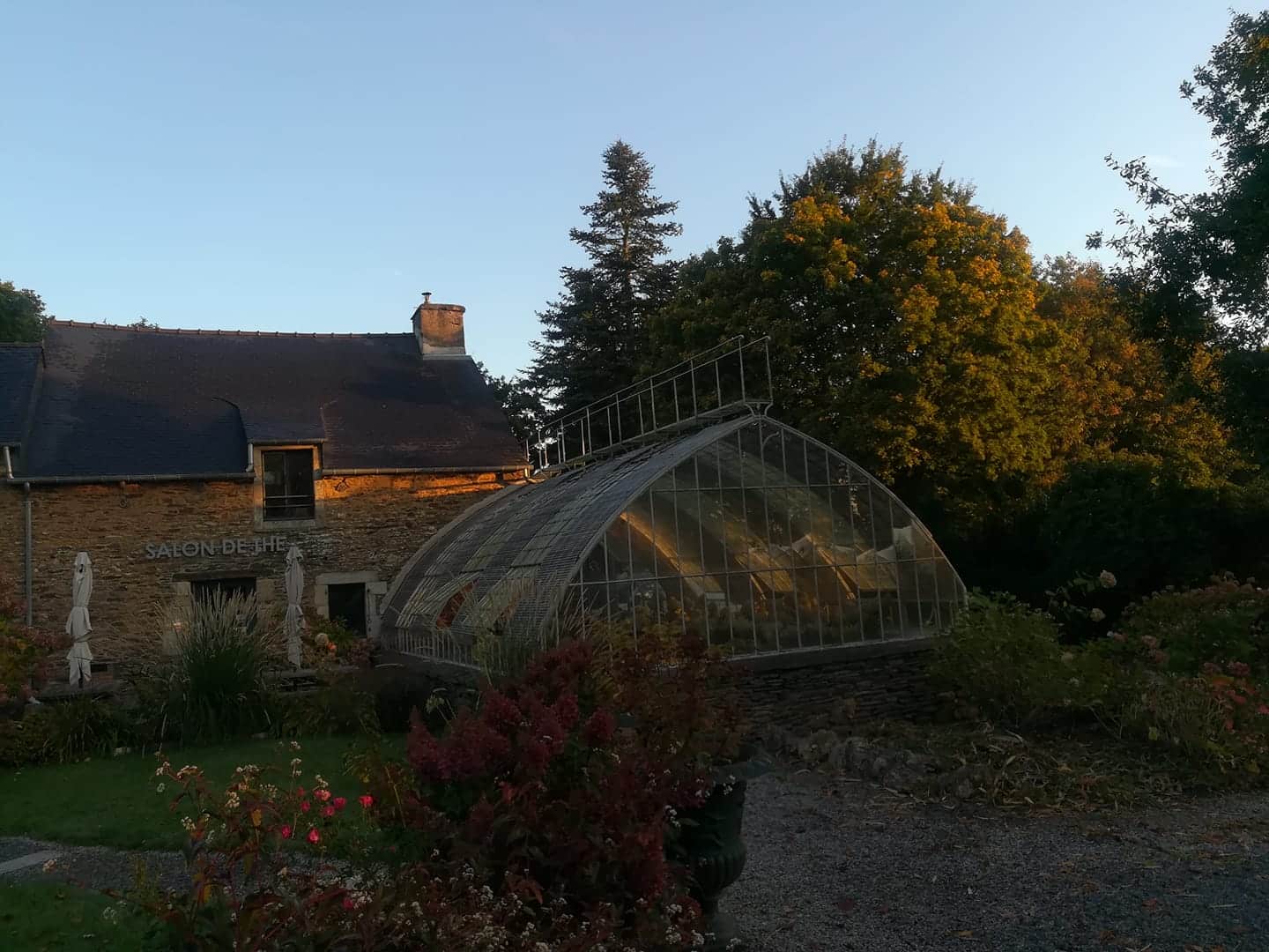 Hortensias du Haut-Bois - Taupont