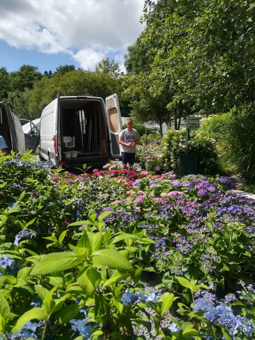 Hortensias du Haut-Bois - Taupont