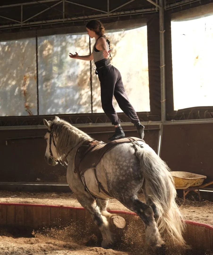 La cie Plume de Cheval - Haras Hennebont