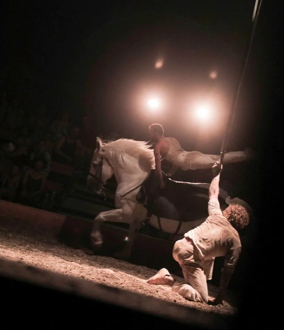 La cie Plume de Cheval - Haras Hennebont