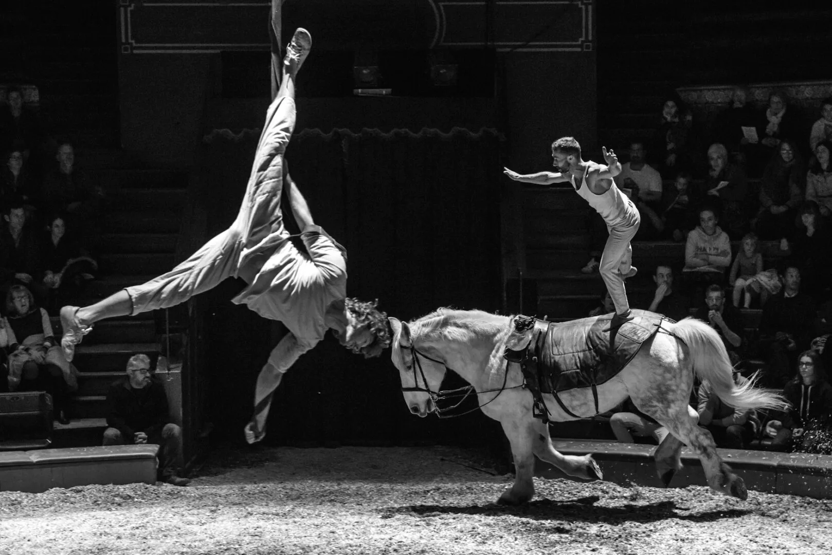 La cie Plume de Cheval - Haras Hennebont