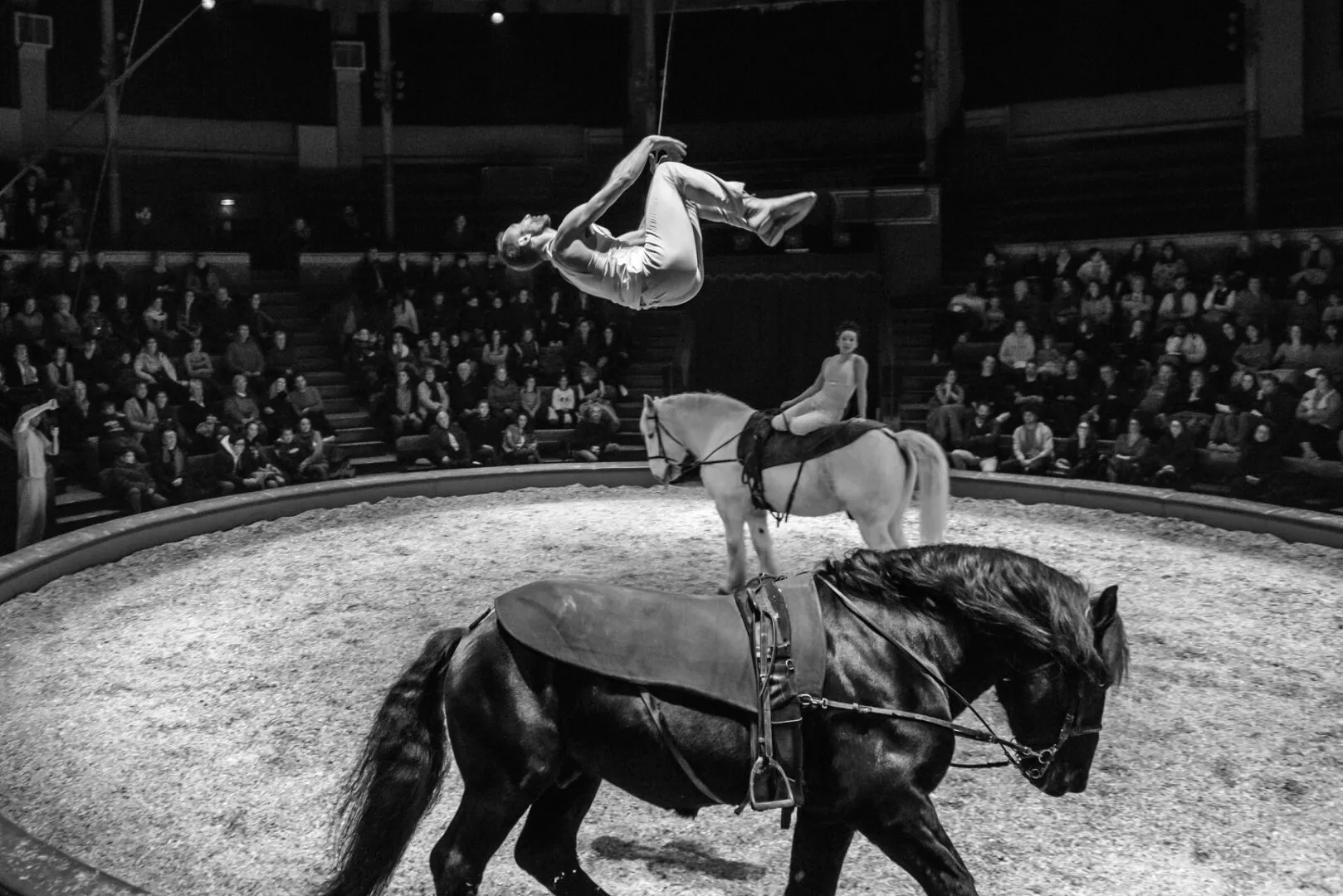 La cie Plume de Cheval - Haras Hennebont