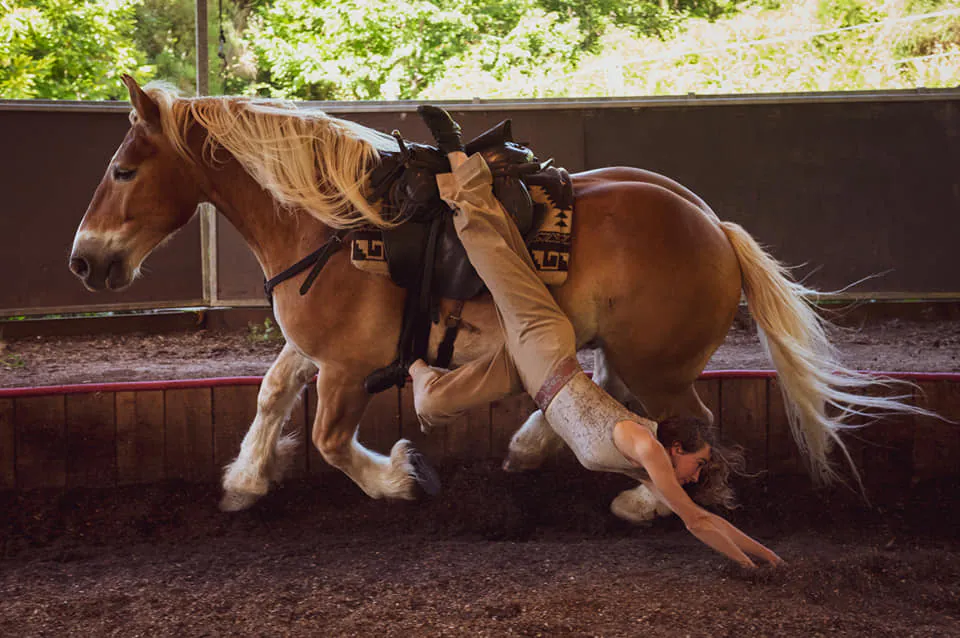 La cie Plume de Cheval Haras Hennebont