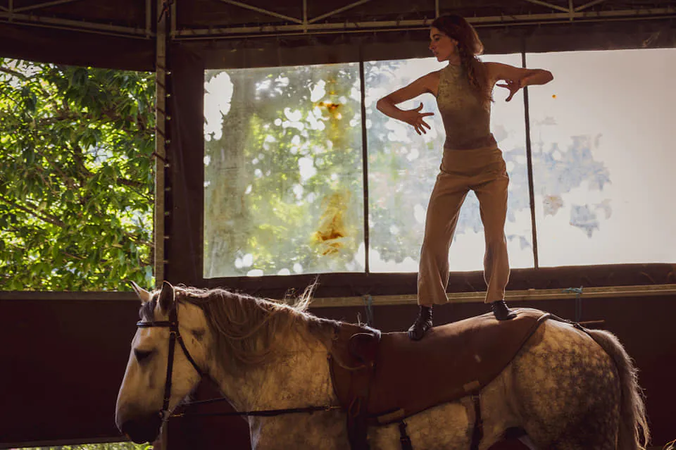 La cie Plume de Cheval - Haras Hennebont