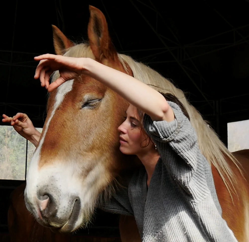 La cie Plume de Cheval - Haras Hennebont