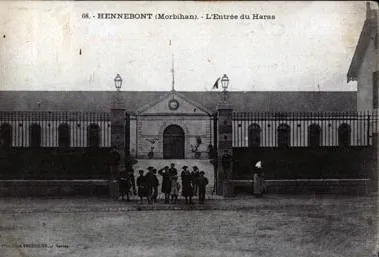 La cie Plume de Cheval - Haras Hennebont