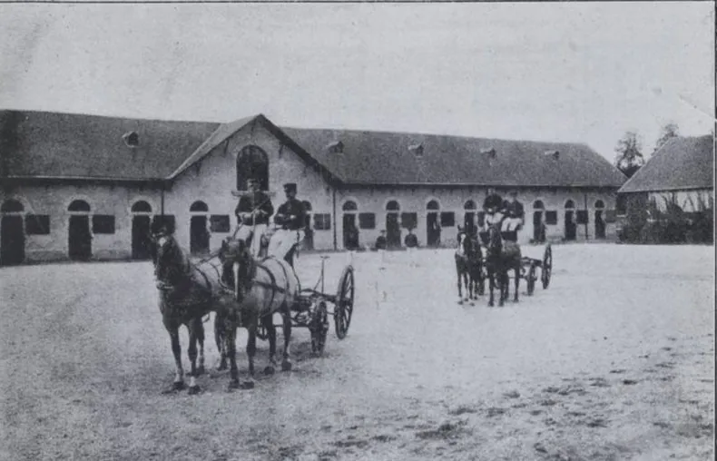 La cie Plume de Cheval - Haras Hennebont