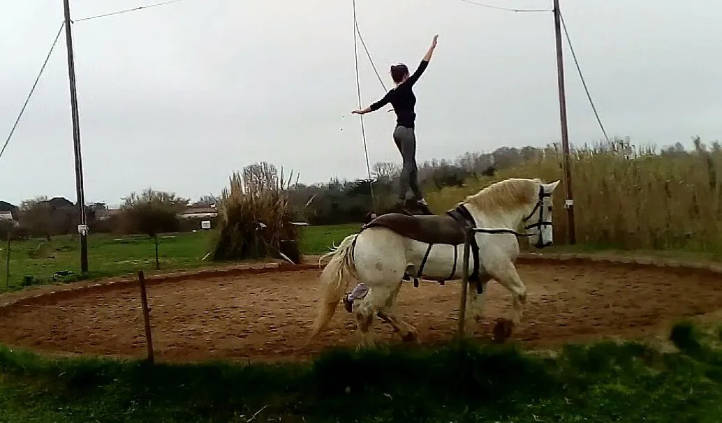 La cie Plume de Cheval - Haras Hennebont