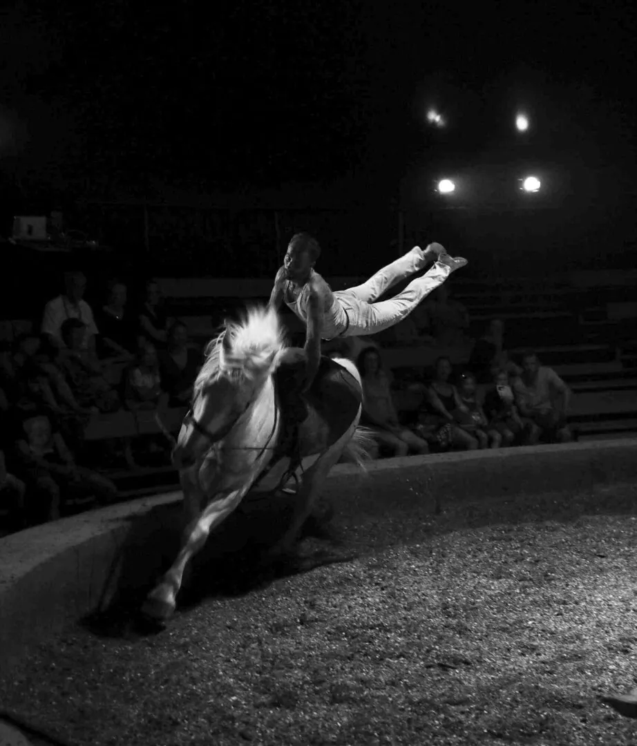 La cie Plume de Cheval - Haras Hennebont