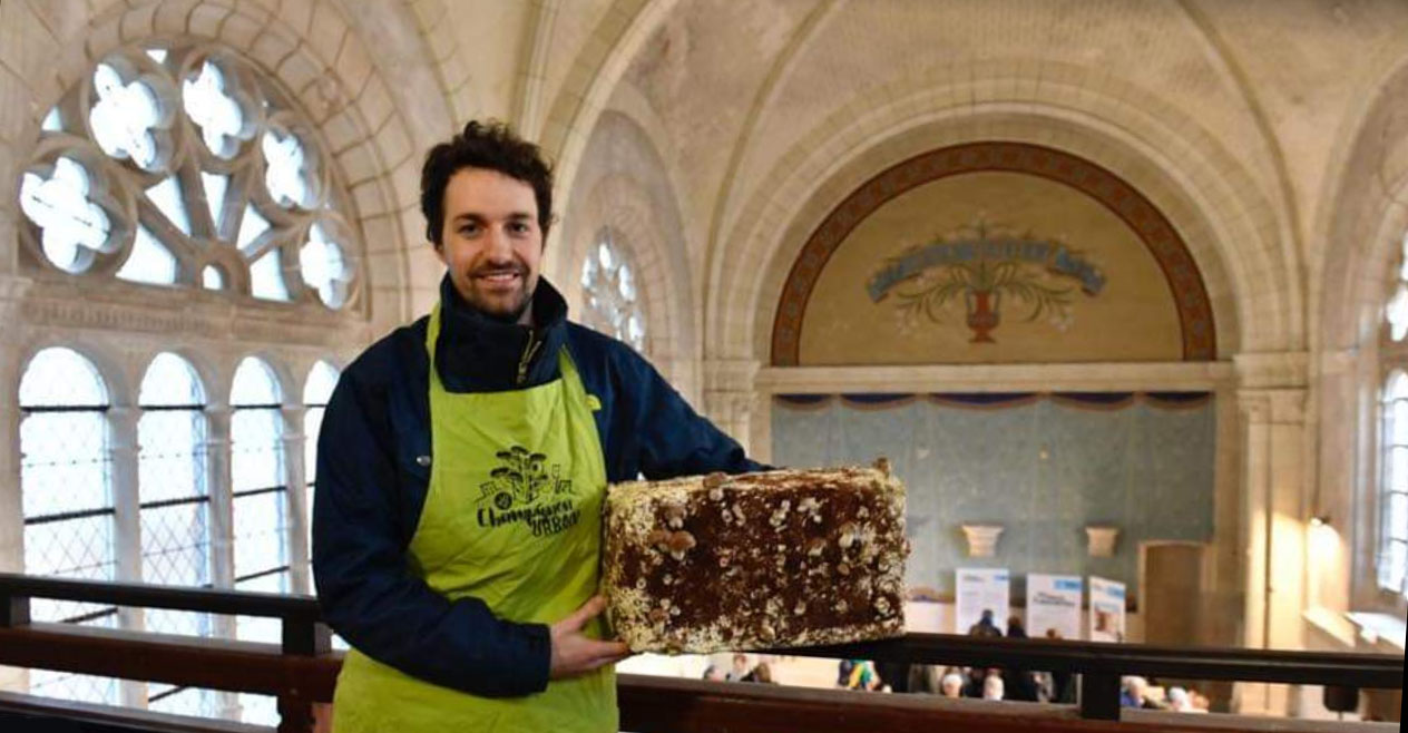 La Chapelle du Martray de Nantes, Et Dieu créa le champignon