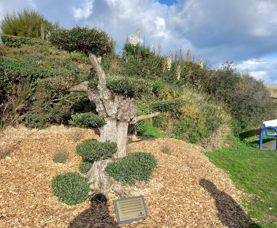Mon débarquement Léon Gautier