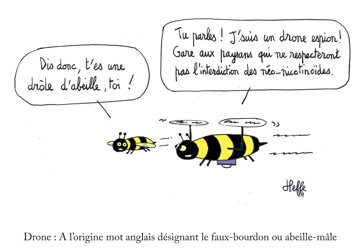 La France renonce aux néonicotinoïdes, ces insecticides tueurs de pucerons et d’abeilles