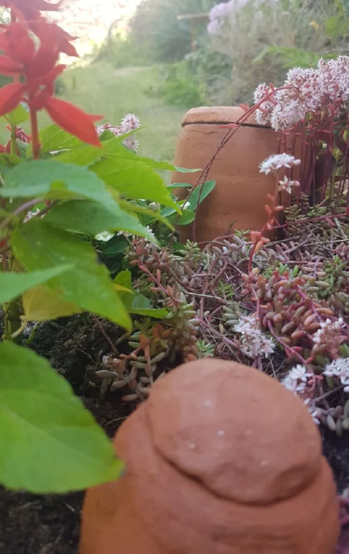 La terre a-t-elle couvé ce jardin de couleur Gwenn Mérel