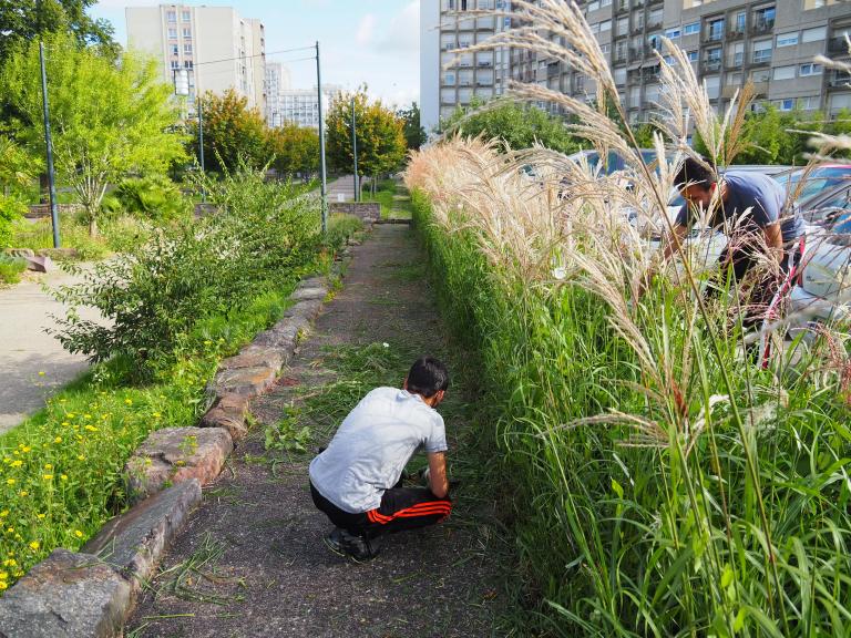 RENNES. C’EST QUOI CE CHANTIER À L’OPÉRA ?