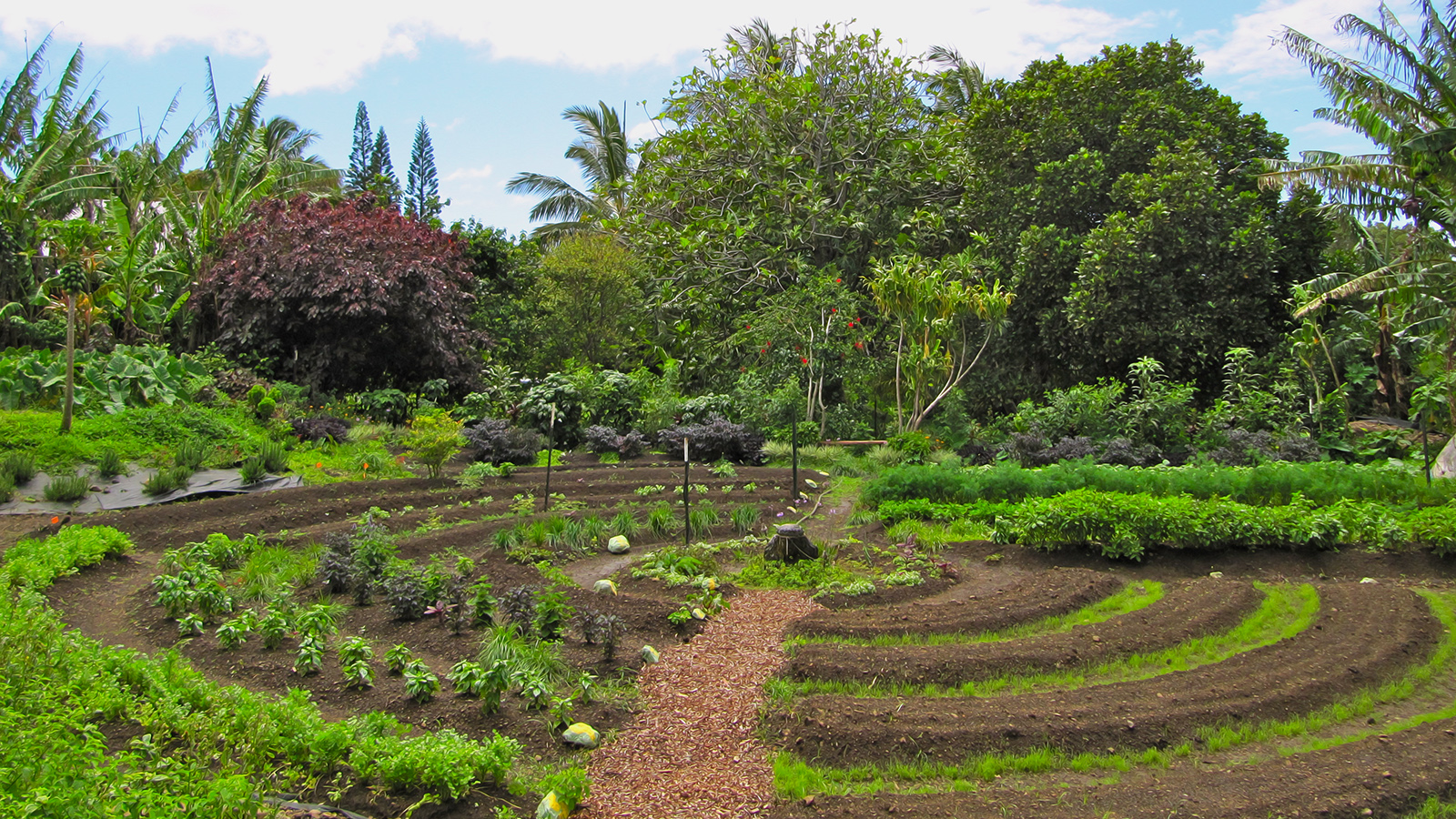 Paroles du pénitencier, Jardin punk maison