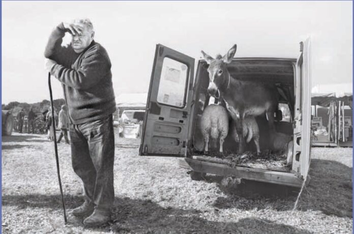 rennes-expo-races-bretonnes