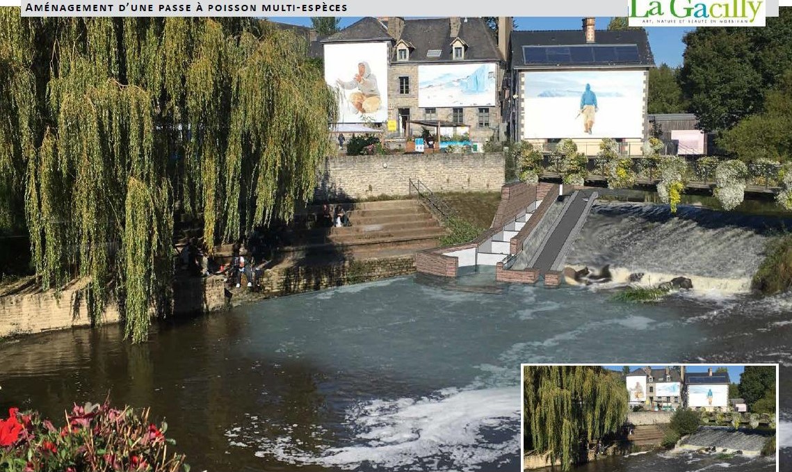 Morbihan. Le SMGBO invite les écoliers du territoire à planter des haies bocagères