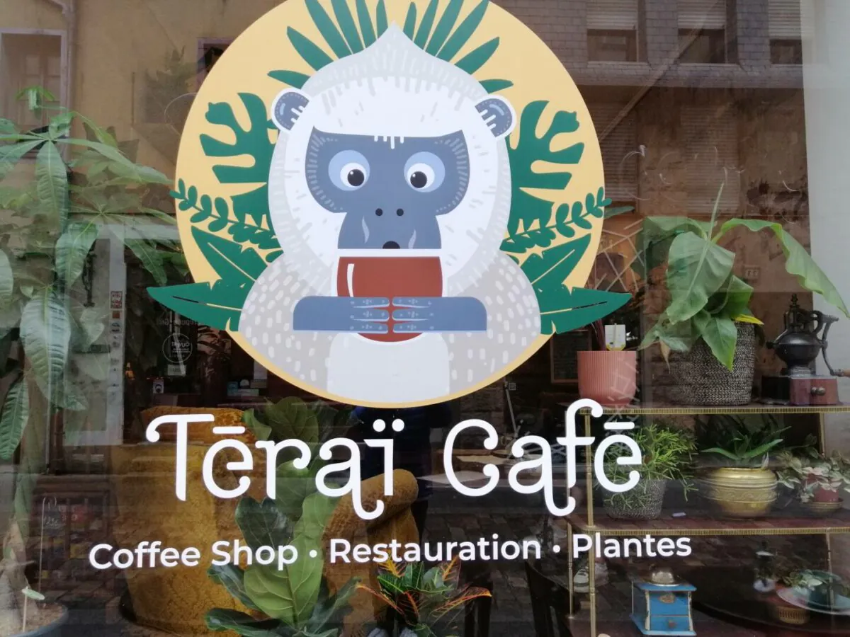 TÉRAÏ CAFÉ, UN COIN DE JUNGLE NÉPALAISE AU COEUR DE RENNES