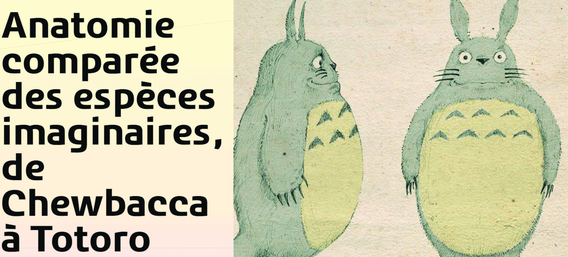 DE CHEWBACCA À TOTORO, L’ANATOMIE COMPARÉE DES ESPÈCES IMAGINAIRES