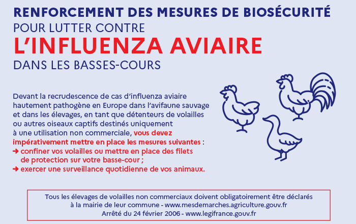 Un cas d’Influenza aviaire dépisté en Ille-et-Vilaine