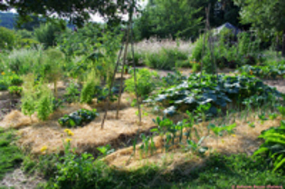 RENNES Compost et paillis, fertiliser la terre de son jardin