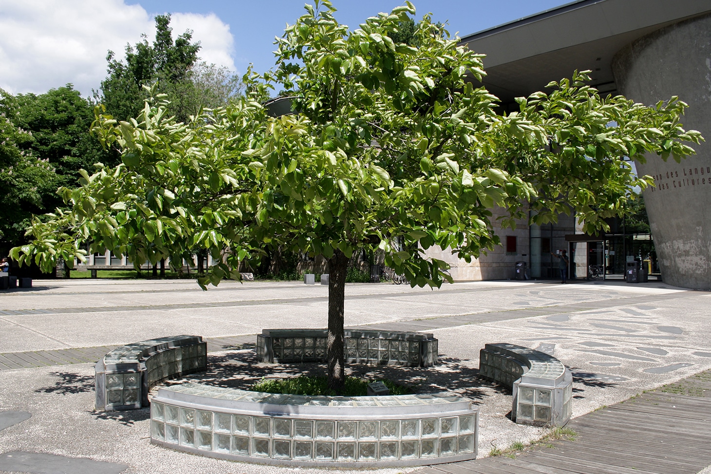 le-belvedere-de-saint-benoit-des-ondes.