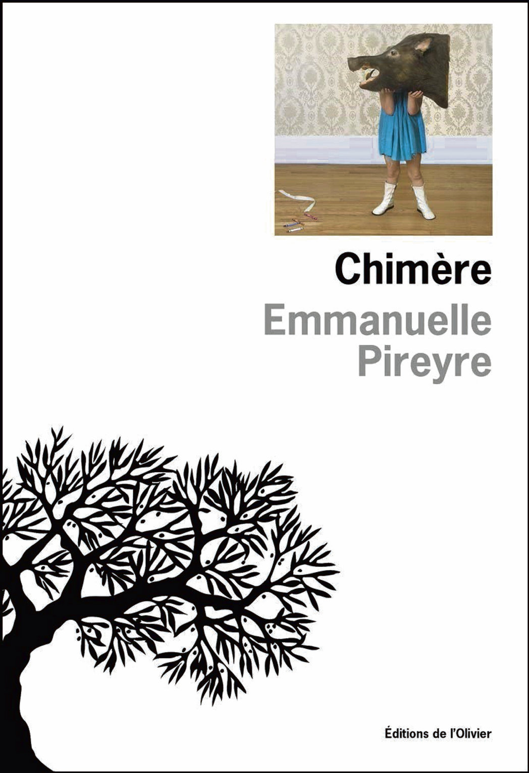 CHIMÈRE, LE NOUVEAU ROMAN D’EMMANUELLE PIREYRE UNE COMÉDIE IRRÉSISTIBLE